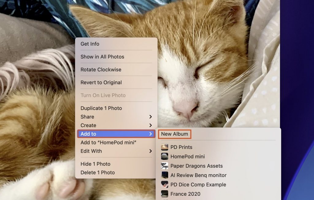 How to manage album collections in Photos for macOS