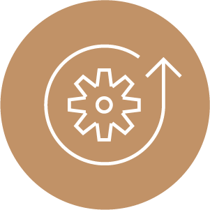 data management factory reset