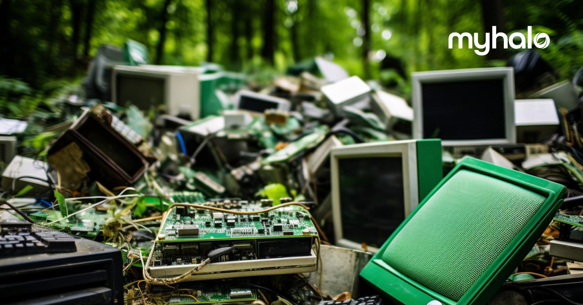 multiple desktops and laptops, motherboards, circuit boards (e-waste) lying around in a forest