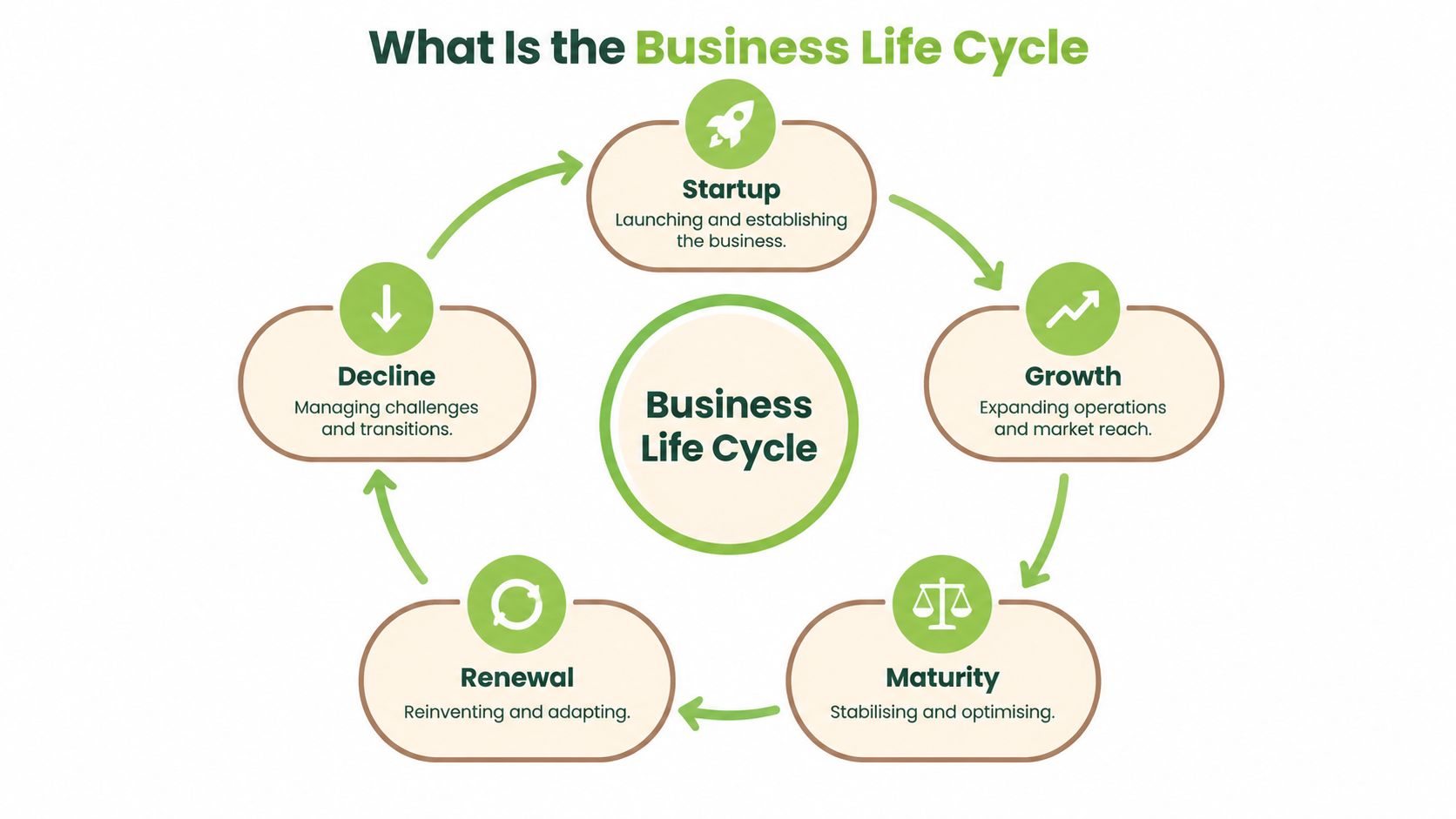 A circular diagram illustrating the five stages of the business life cycle: startup, growth, maturity, renewal, and decline.