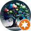 ri Avatar
